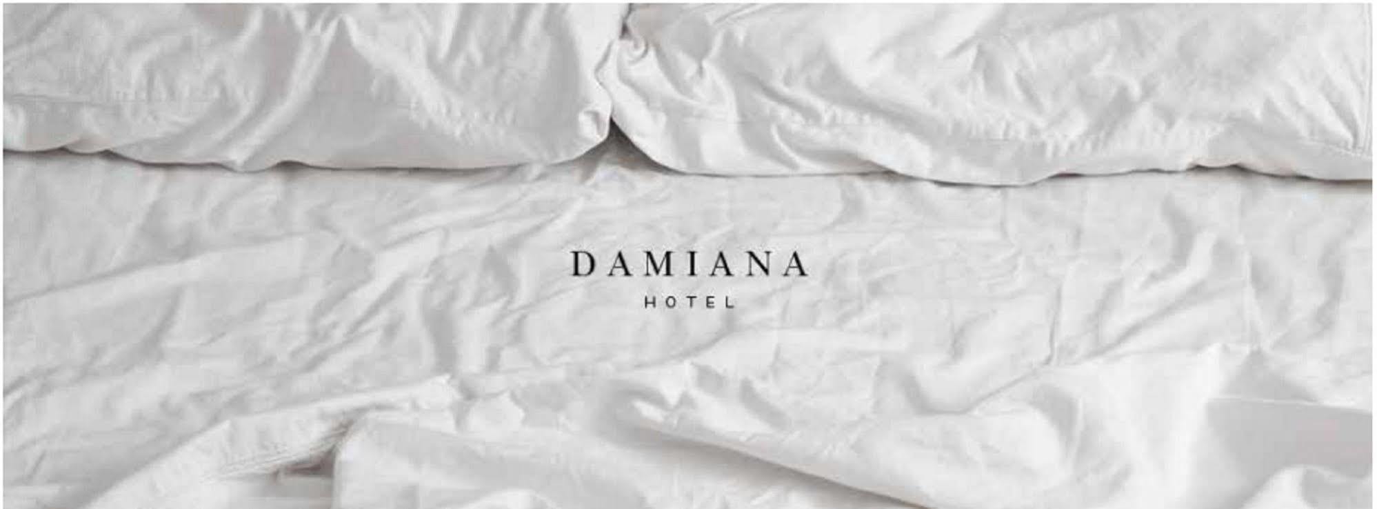 Hotel Damiana Boutique Queretaro Bagian luar foto
